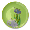 Iris on Pale Green